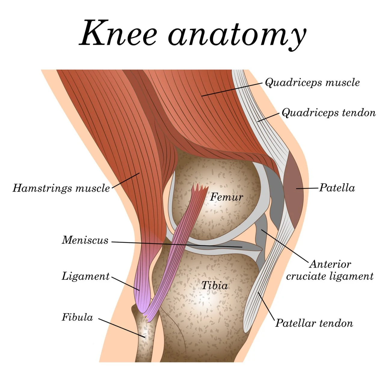Getting to Root Cause of Knee Pain to End It! — Functional Pain Relief